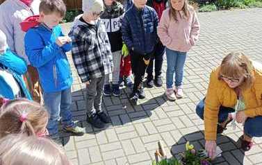 Dzień Ziemi 12