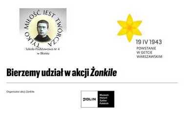 Akcja Żonkil 8
