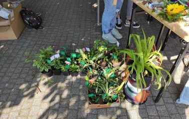 IMG_20230513_100629