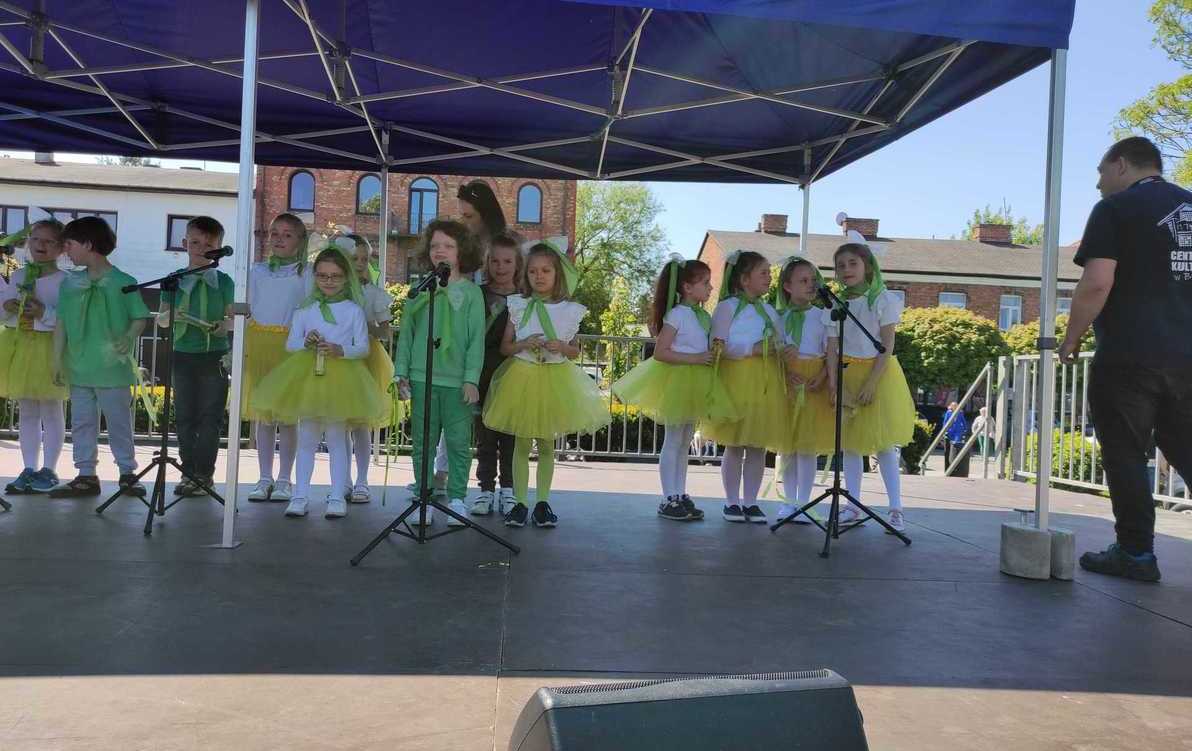 Zdjęcie do Piknik ekologiczny 
