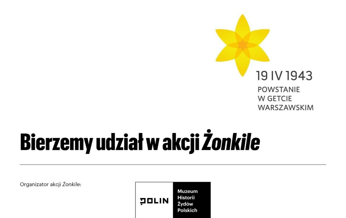 Zdjęcie do Akcja Żonkile